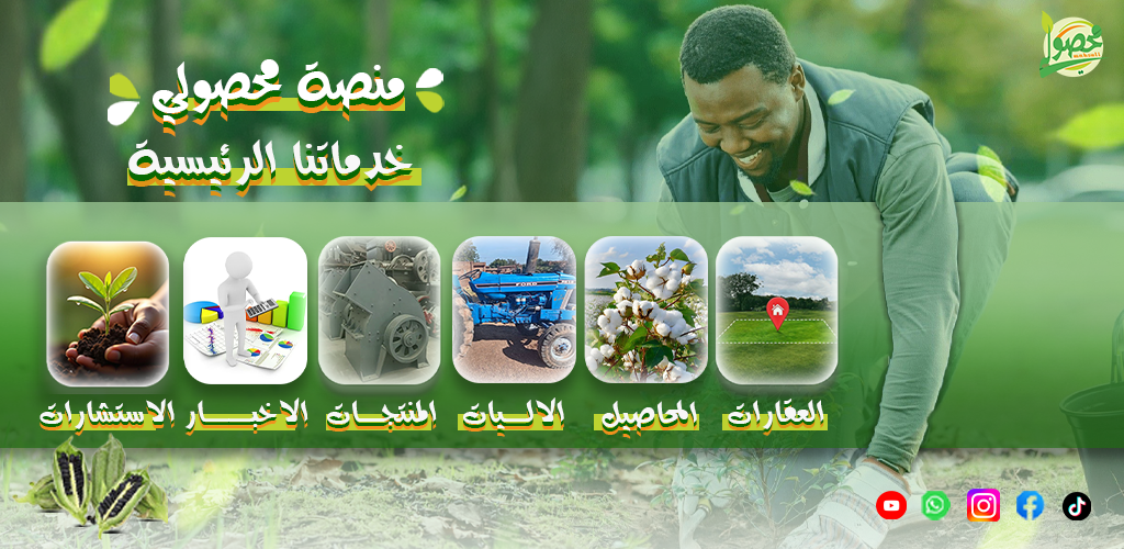 التطبيق