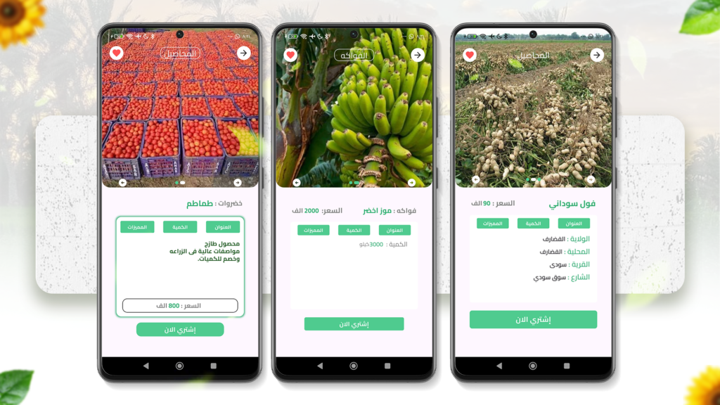 الصفحات