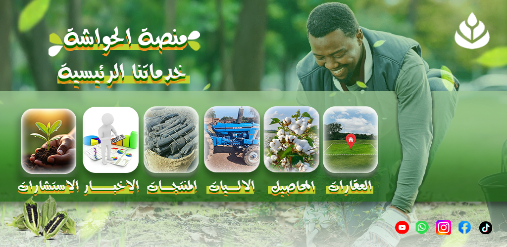 الخدمات